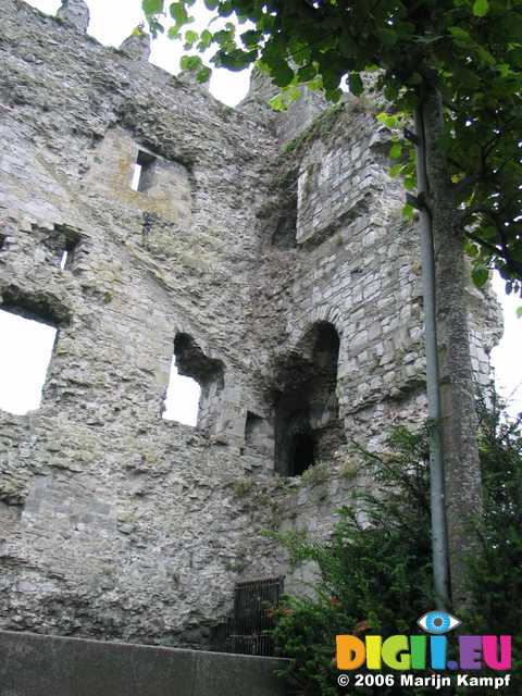 18985 Remains Carlow Castle